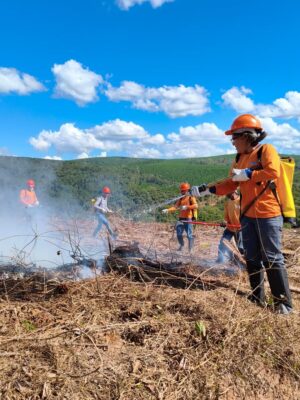 Treinamento Brigada Florestal 2026